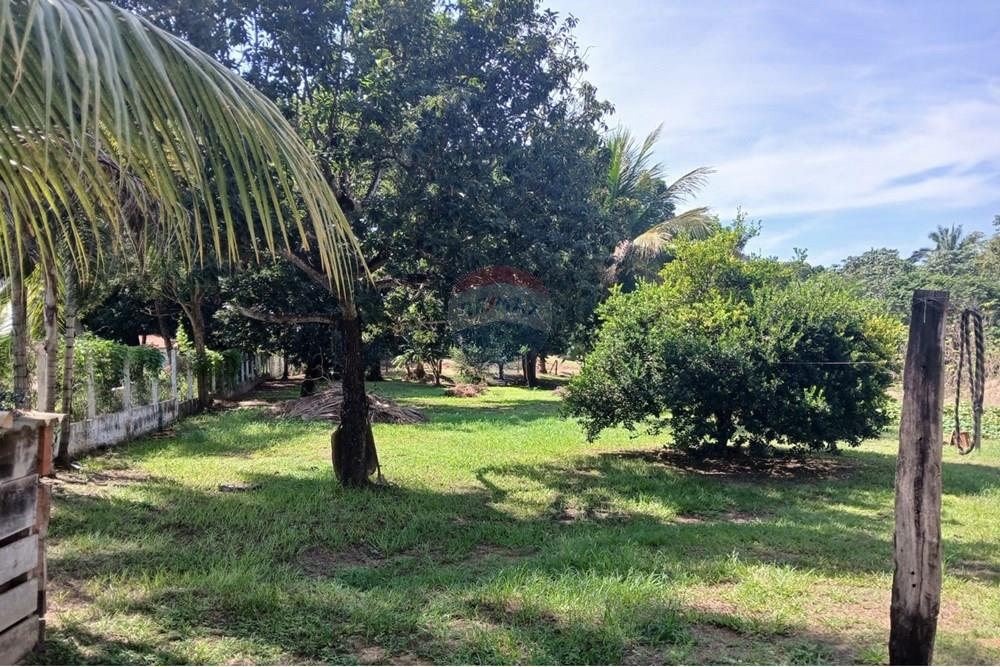 Chácara / Sítio / Fazenda - Venda - Rondonópolis , Mato Grosso - WhatsApp Image 2025-05-12 at 16.32.18 (3).jpeg - 720611007-91
