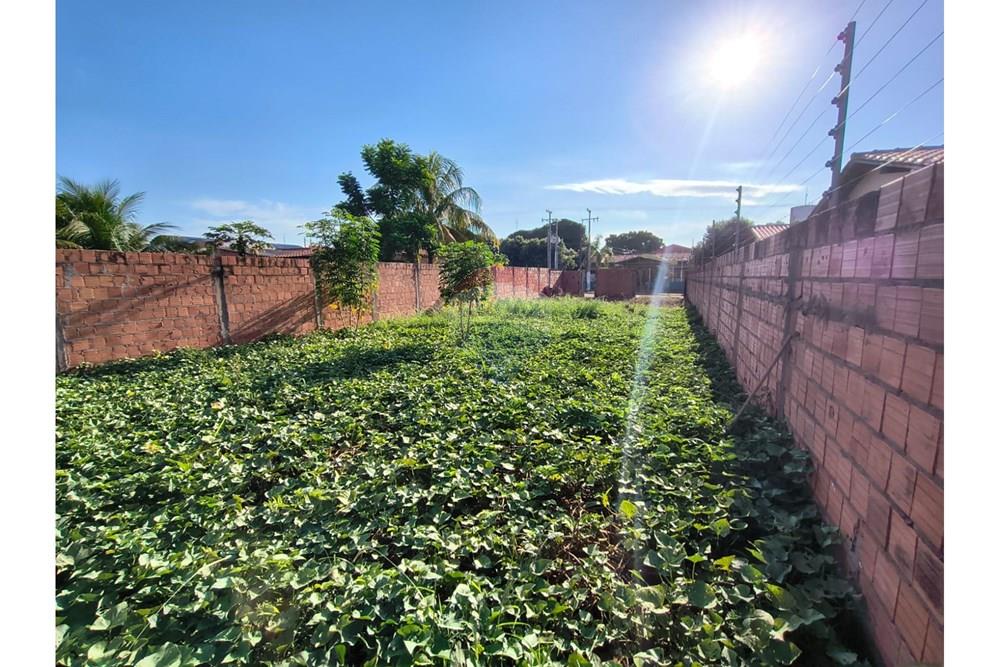 Terreno - Venda - Rondonópolis , Mato Grosso - WhatsApp Image 2026-03-12 at 08.19.50 (2).jpeg - 722201045-11