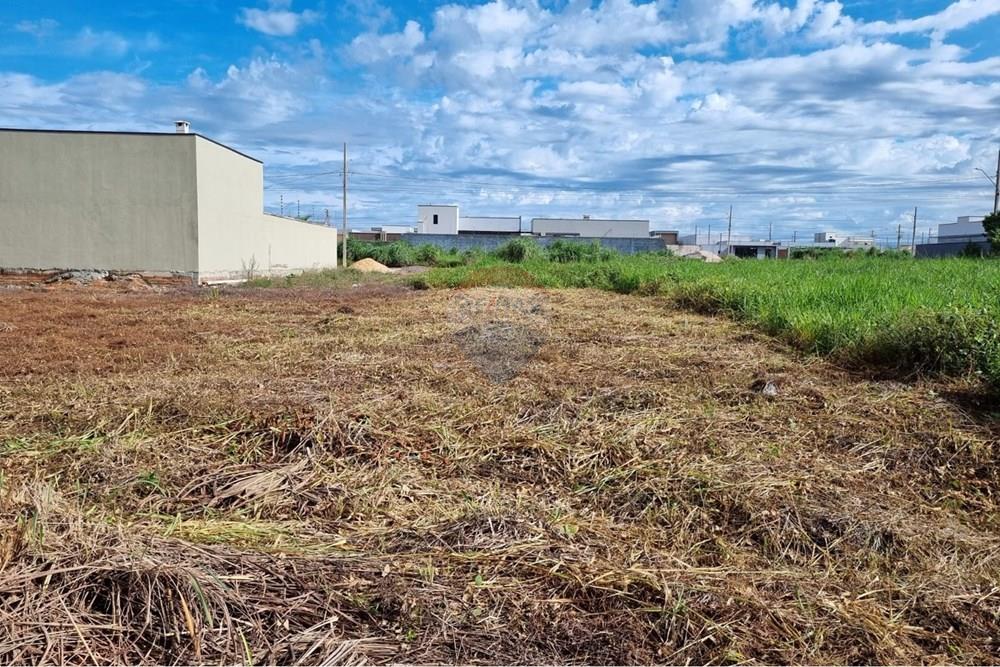 Terreno - Venda - Confresa , Mato Grosso - WhatsApp Image 2026-01-27 at 10.43.33.jpeg - 720641046-17