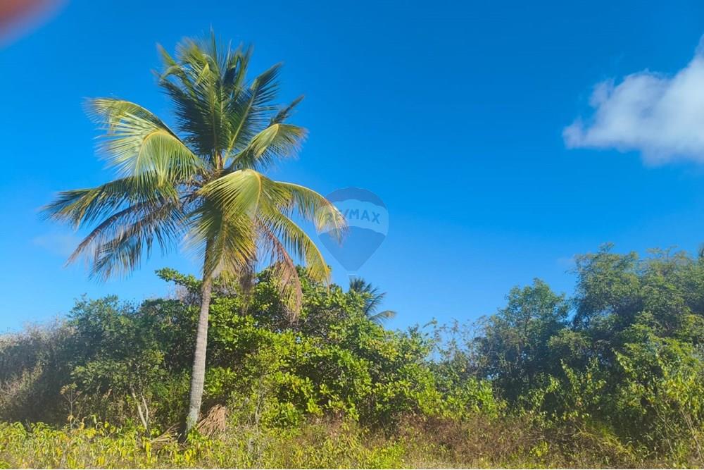 Terreno - Venda - Conde , Paraíba - 0a6445c7-34a7-406a-b929-ec263c629450.jpg - 720871056-42