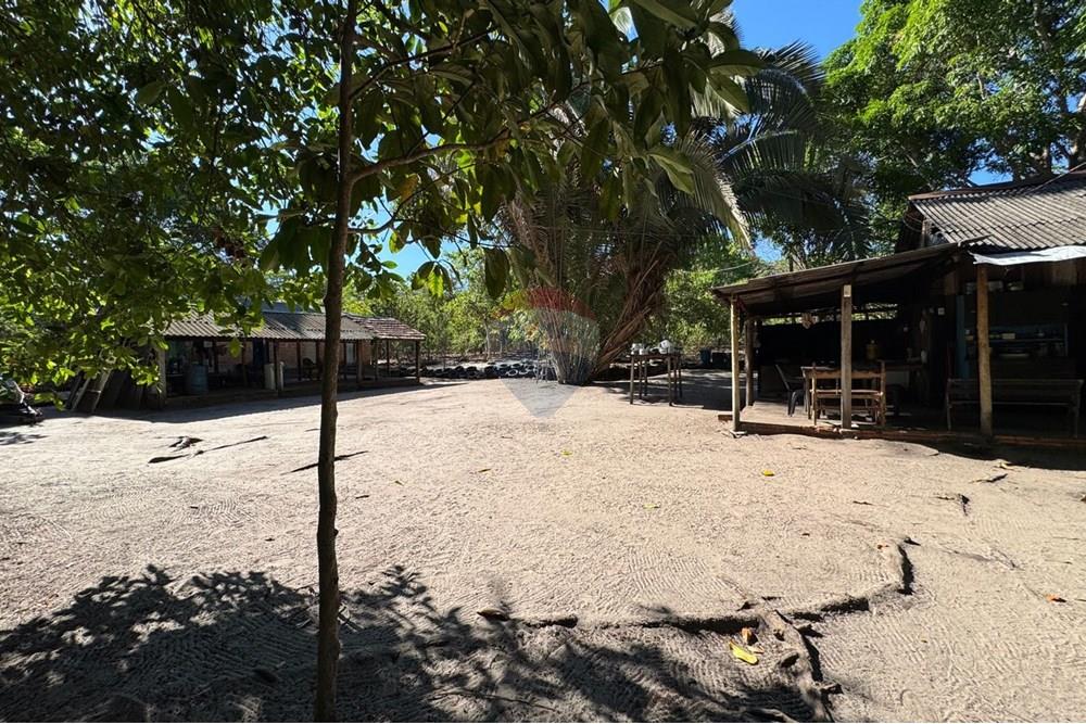 Chácara / Sítio / Fazenda - Venda - Babaçulândia , Tocantins - PHOTO-2025-09-02-09-36-01 (4).jpg - 720991008-76