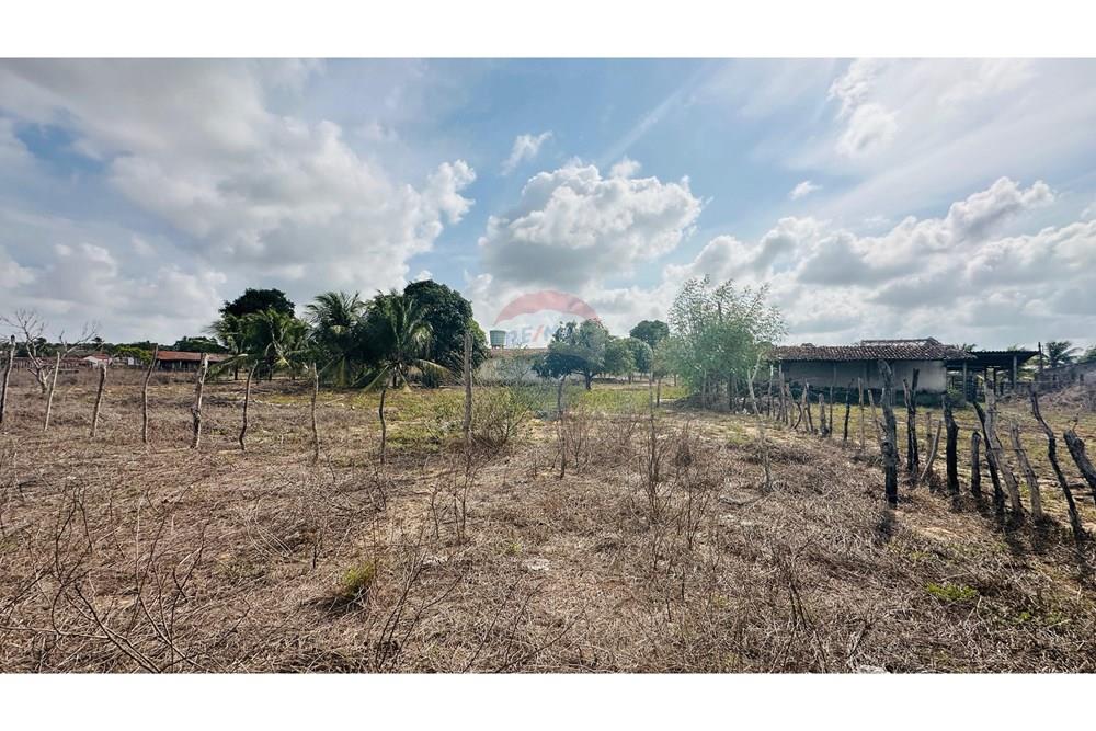 Chácara / Sítio / Fazenda - Venda - São José de Mipibu , Rio Grande do Norte - IMG-20250206-WA0019.jpg - 720811013-67