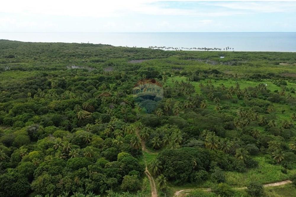 Terreno - Venda - Pitimbu , Paraíba - aed3ecf4-7b32-48ce-abef-010360ea9063.jpeg - 720871044-91