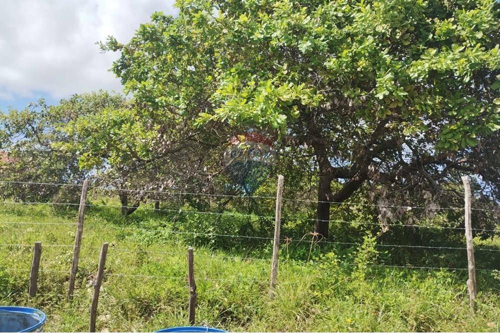 Terreno - Venda - Conde , Paraíba - 3a96db5f-c986-4e73-8592-3519189aac70.jpg - 720871056-7