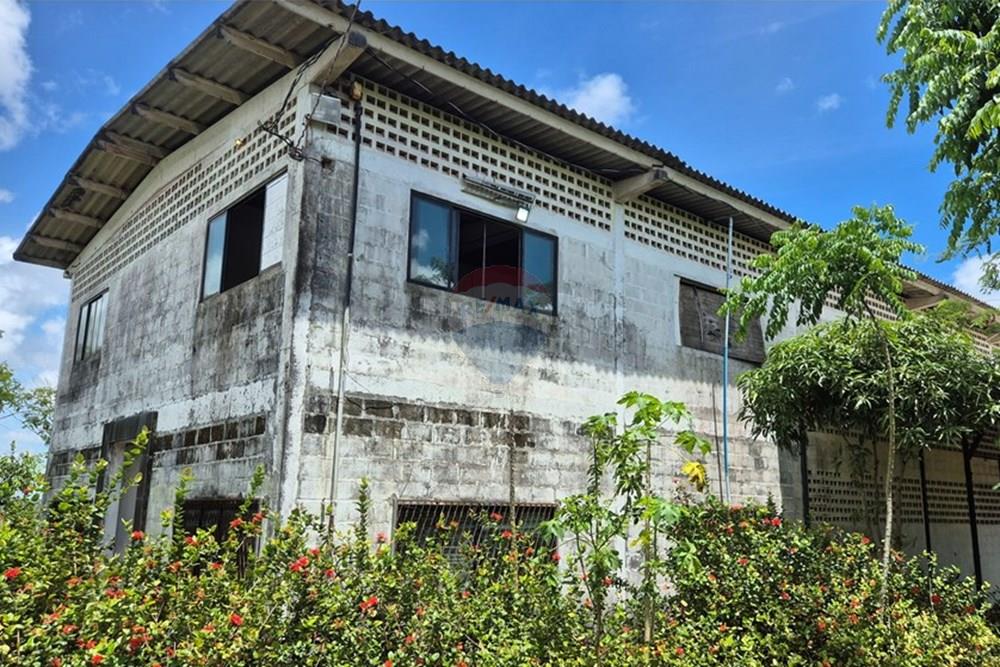 Galpão - Alugar - Pedras de Fogo , Paraíba - 20250207_102814.jpg - 722011055-40