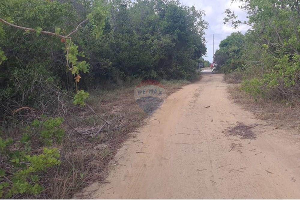 Terreno - Venda - Conde , Paraíba - 1d9e0900-ff2c-4b12-8094-d5301ea43ec6.jpeg - 720471019-138