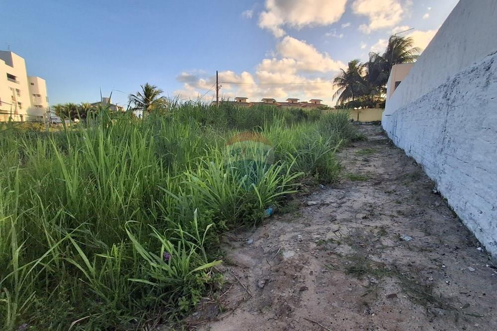 Terreno - Venda - Pitimbu , Paraíba - 20260310_165231.jpg.jpeg - 720871044-121