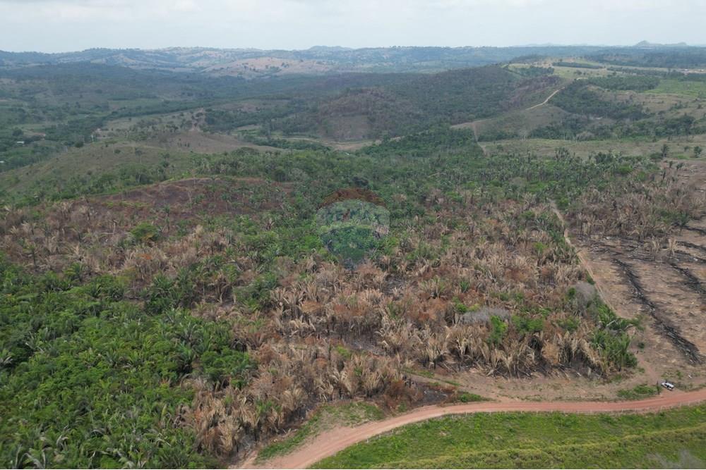 Chácara / Sítio / Fazenda - Venda - Araguaína , Tocantins - DJI_0042.JPG - 720991045-15