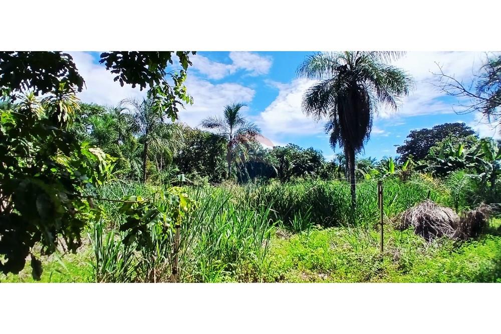 Chácara / Sítio / Fazenda - Venda - Rondonópolis , Mato Grosso - WhatsApp Image 2026-01-13 at 16.45.21.jpeg - 720851145-19