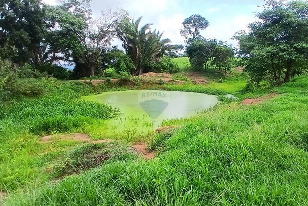 Chácara / Sítio / Fazenda - Venda - Juscimeira , Mato Grosso - WhatsApp Image 2026-01-25 at 07.55.39 (1).jpeg - 722201031-2