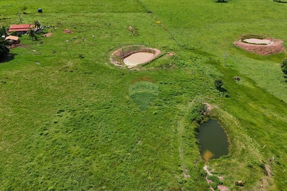 Chácara / Sítio / Fazenda - Venda - Juscimeira , Mato Grosso - WhatsApp Image 2026-02-03 at 16.05.23 (2).jpeg - 722201031-2