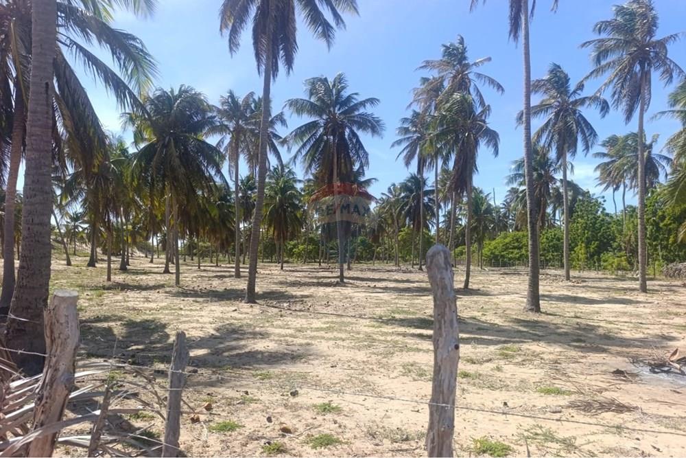 Terreno - Venda - Trairi , Ceará - WhatsApp Image 2026-01-28 at 14.05.52.jpeg - 722341005-47