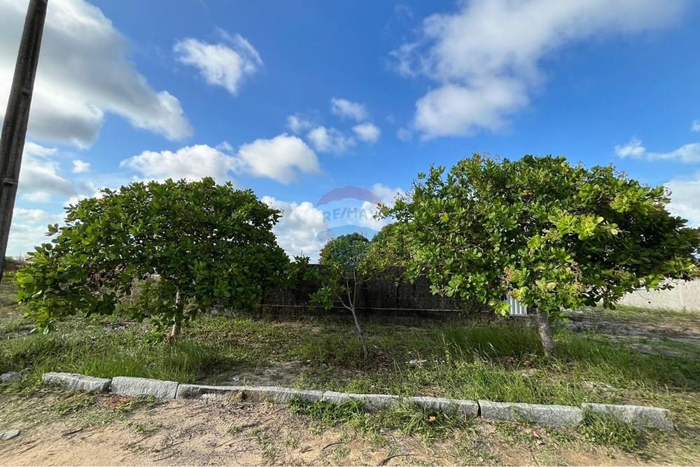 Terreno - Venda - Conde , Paraíba - WhatsApp Image 2026-02-20 at 15.56.15.jpeg - 720871047-20