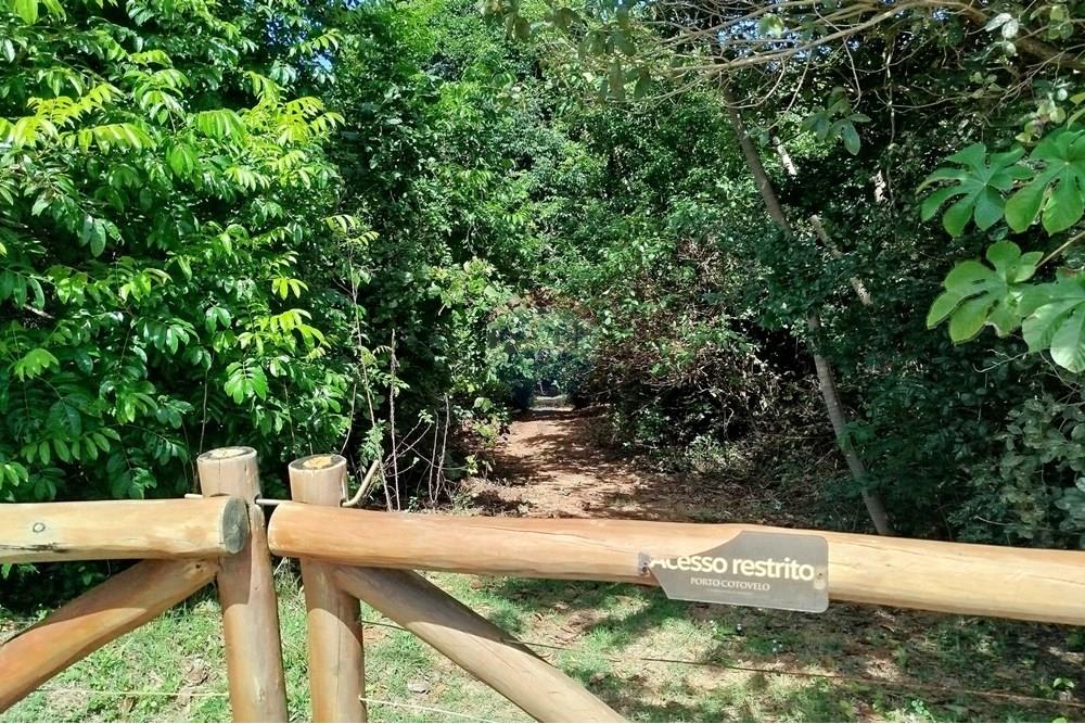 Terreno - Venda - Parnamirim , Rio Grande do Norte - 1764015309902.jpg - 720891013-251