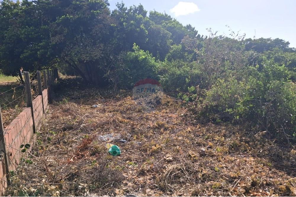 Terreno - Venda - Conde , Paraíba - 7ac02127-dbf3-426f-a427-cfc9bbd803d4.jpeg - 720871064-6