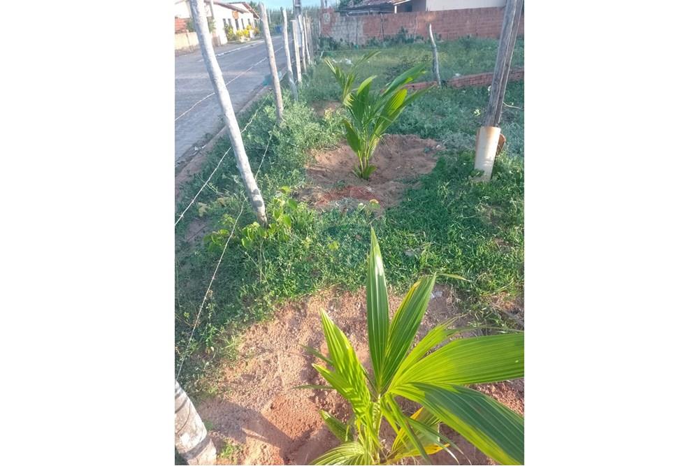 Terreno - Venda - Maxaranguape , Rio Grande do Norte - IMG-20250618-WA0062.jpg - 720891036-161