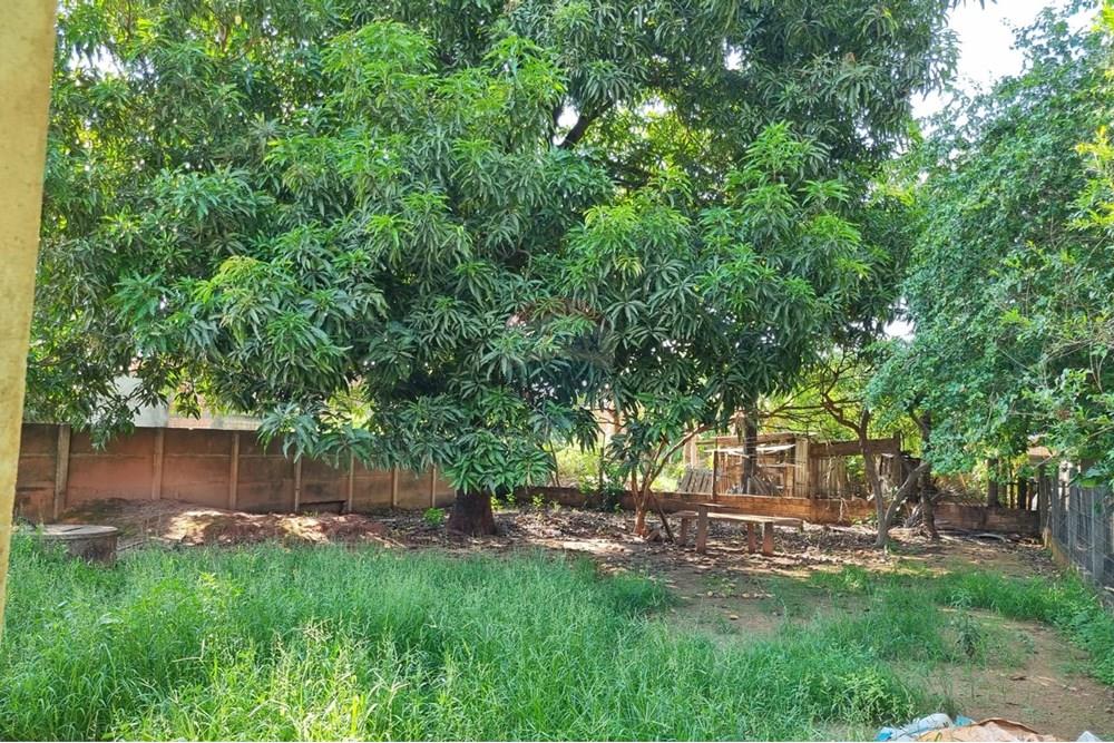 Casa - Alugar - Confresa , Mato Grosso - IMG-20251204-WA0104.jpg - 720641046-16