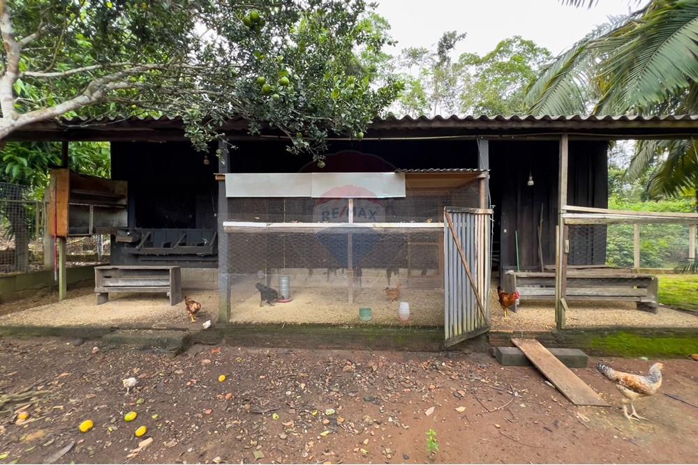 Chácara / Sítio / Fazenda - Venda - Porto Velho , Rondônia - IMG_7427.jpg - 721551058-3