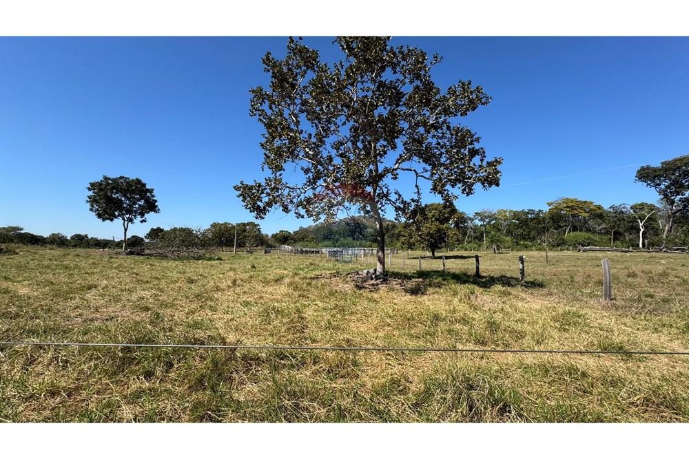 Fazenda - Venda - Santo Antônio do Leverger , Mato Grosso - 292a3dc7-007e-4c15-b5c1-589b212c22e0.jpeg - 720611035-41