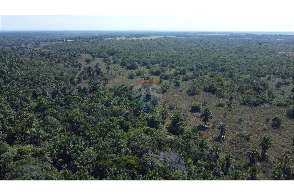 Chácara / Sítio / Fazenda - Venda - Porto Alegre do Norte , Mato Grosso - 15 - 720641031-14