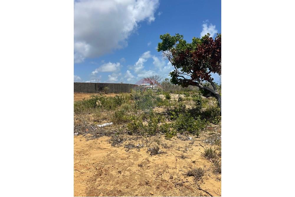 Terreno - Venda - Conde , Paraíba - WhatsApp Image 2025-01-02 at 15.58.14 (1).jpeg - 720871004-174