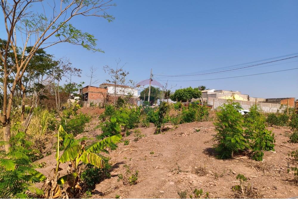 Terreno - Venda - Rondonópolis , Mato Grosso - IMG_20250912_091707.jpg - 722261012-13