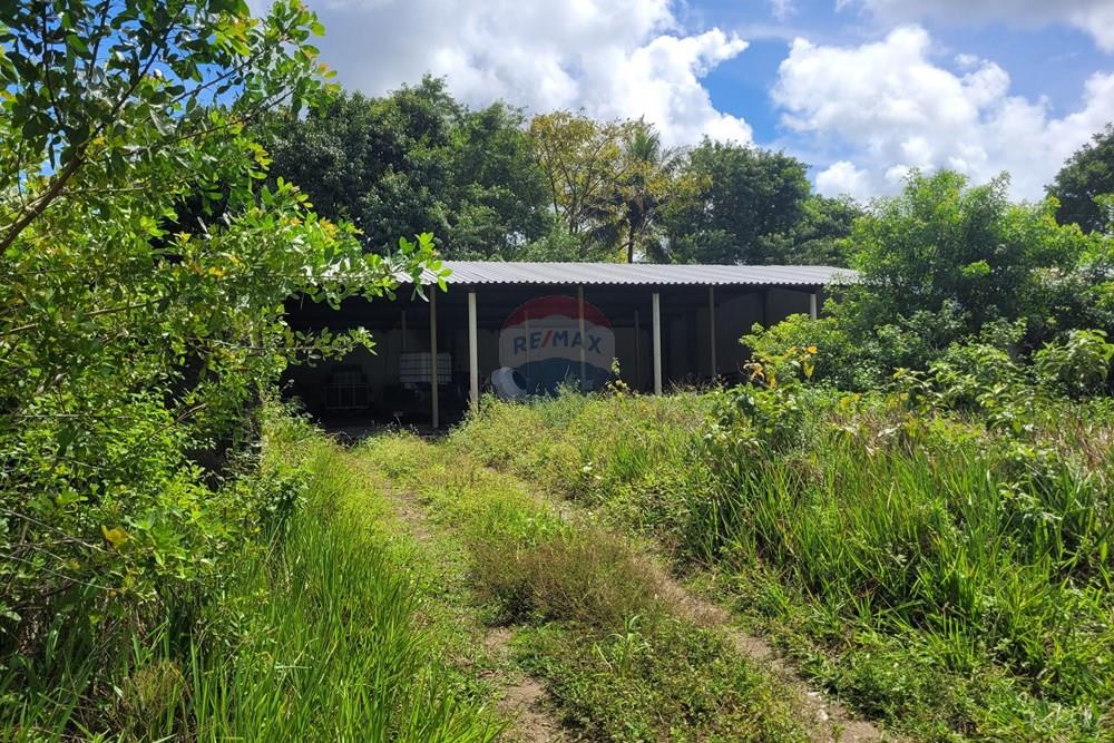 Terreno - Venda - Goiana , Pernambuco - 20220727_105756.jpg - 722011055-50