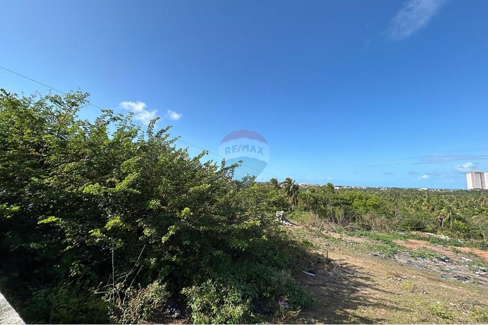 Terreno - Venda - Parnamirim , Rio Grande do Norte - WhatsApp Image 2025-11-11 at 17.33.57.jpeg - 720731004-464