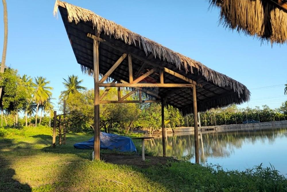 Terreno - Venda - Trairi , Ceará - 1000290811.jpg - 722341005-30