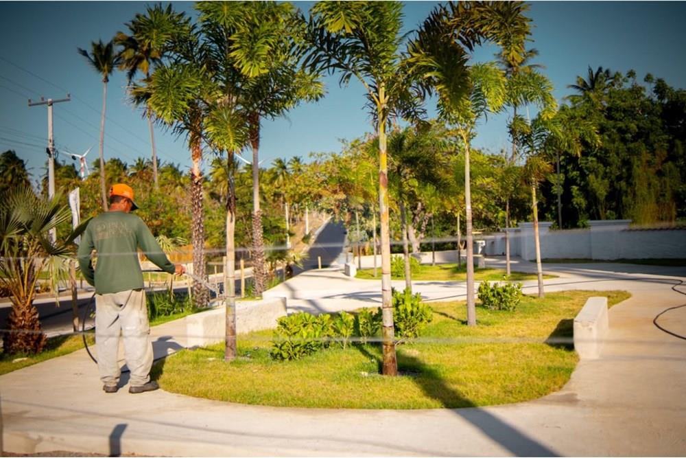 Terreno - Venda - Trairi , Ceará - 1000290804.jpg - 722341005-30