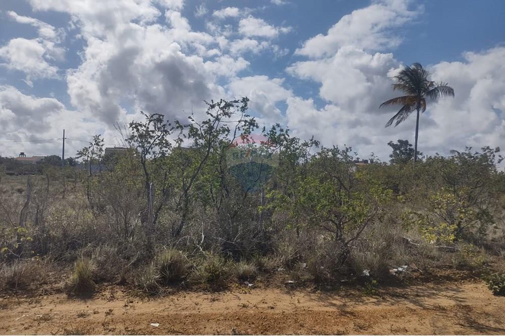 Terreno - Venda - Conde , Paraíba - WhatsApp Image 2025-11-21 at 14.00.30.jpeg - 720871031-90