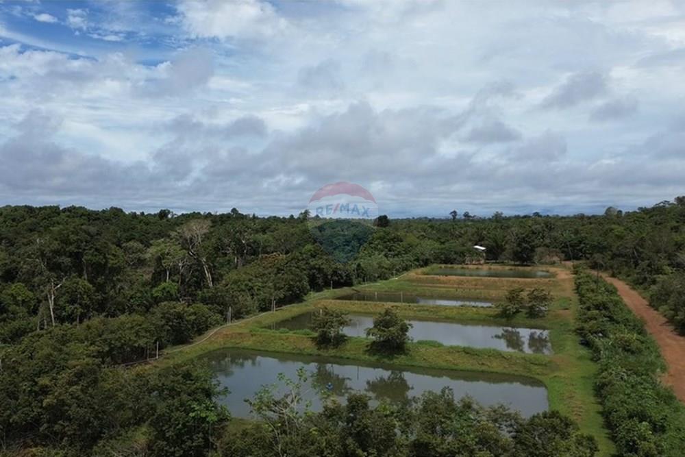 Woningbouw - Boerderij - Novo Airão , Amazonas - BR - Tanques de Peixe.jpg - 720721055-29