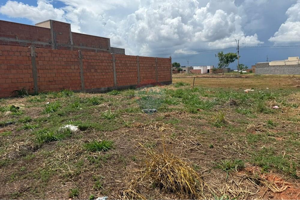 Terreno - Venda - Rondonópolis , Mato Grosso - WhatsApp Image 2026-01-29 at 09.38.46.jpeg - 720851137-13