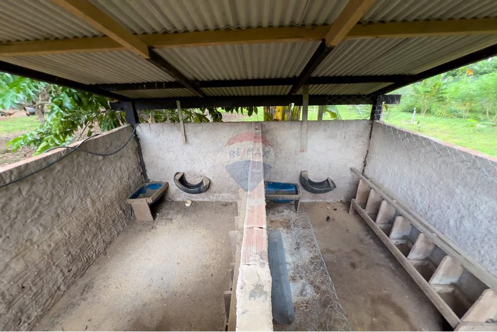 Chácara / Sítio / Fazenda - Venda - Porto Velho , Rondônia - IMG_7437.jpg - 721551058-3