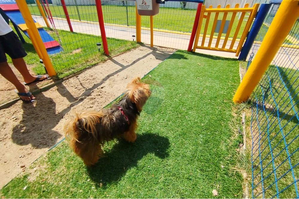 Apartamento - Venda - Natal , Rio Grande do Norte - IMG_20250805_154836.jpg - 720891013-135