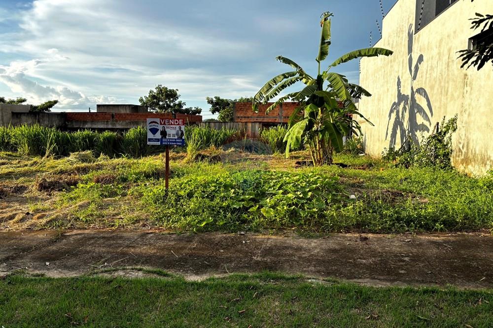 Terreno - Venda - Cacoal , Rondônia - IMG_4483.jpg - 721971001-41