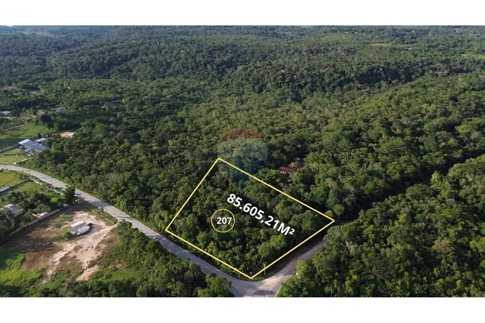 Terreno - Venda - Manaus , Amazonas - WhatsApp Image 2025-12-18 at 17.13.19.jpeg - 720721004-182