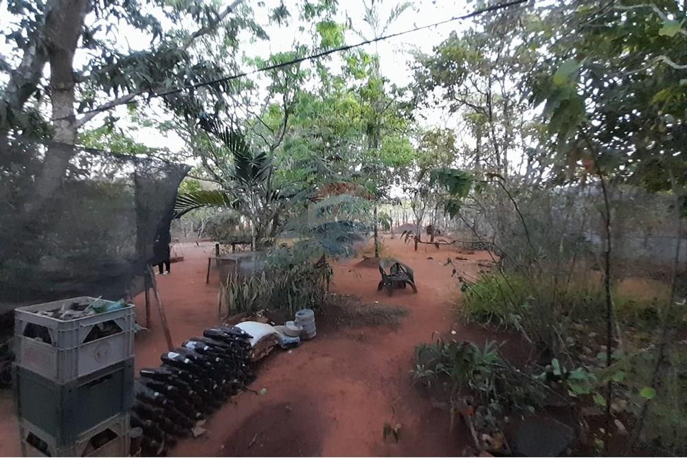 Chácara / Sítio / Fazenda - Venda - Goiânia , Goiás - WhatsApp Image 2025-10-31 at 16.51.44.jpeg - 722271015-38