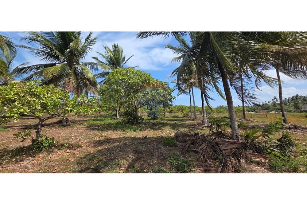 Terreno - Venda - Acaraú , Ceará - 1000304685.jpg - 722341001-114