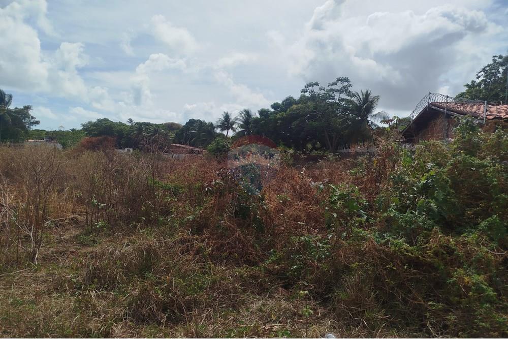Terreno - Venda - Nísia Floresta , Rio Grande do Norte - WhatsApp Image 2024-11-22 at 21.32.42 (3).jpeg - 720891013-275
