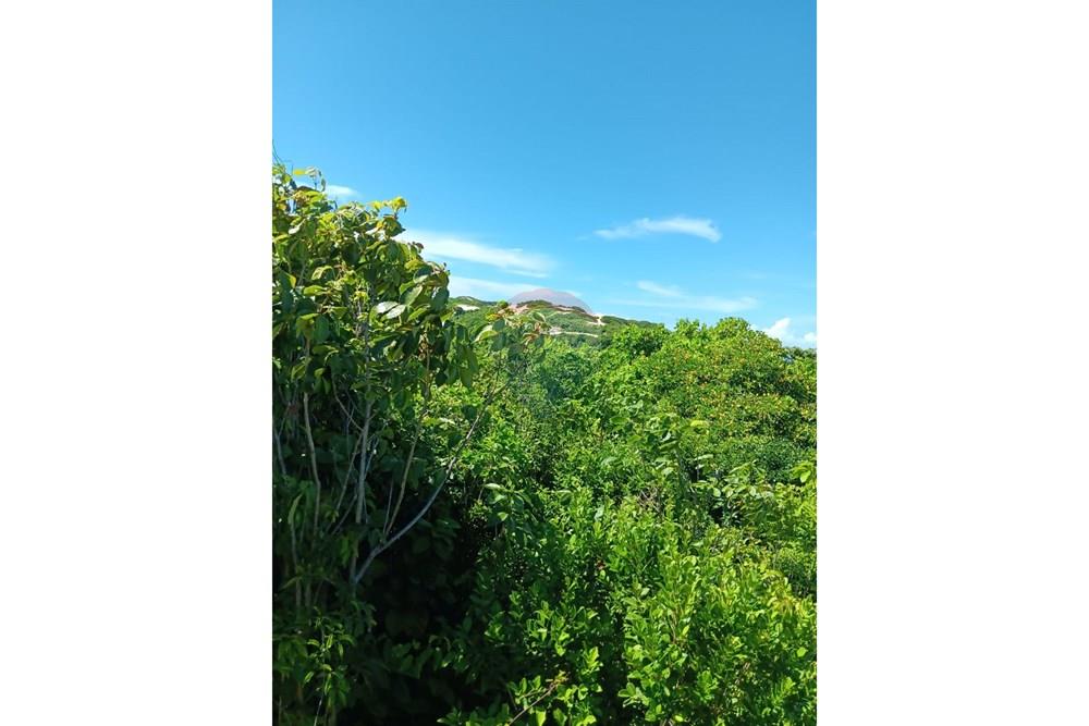 Terreno - Venda - Parnamirim , Rio Grande do Norte - WhatsApp Image 2026-03-24 at 11.35.54 (1).jpeg - 720891130-392