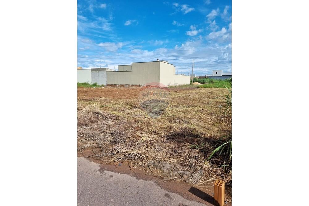 Terreno - Venda - Confresa , Mato Grosso - WhatsApp Image 2026-01-27 at 10.43.32.jpeg - 720641046-17