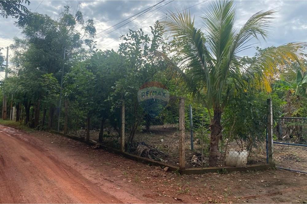 Terreno - Venda - Rondonópolis , Mato Grosso - 01 terreno jl.jpeg - 721981070-13