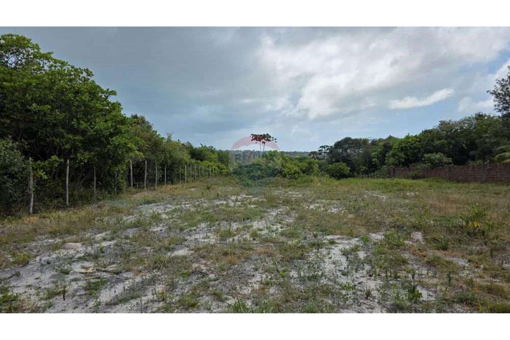 Chácara / Sítio / Fazenda - Venda - Conde , Paraíba - a991e7cf-2b7e-40ae-adbb-10a852362728.jpg - 720871015-134