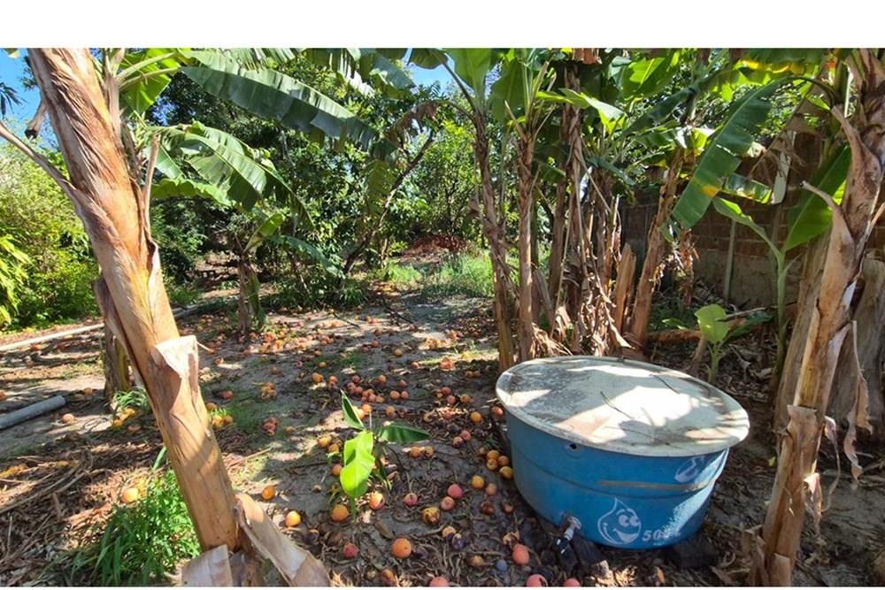 Terreno - Venda - Parnamirim , Rio Grande do Norte - WhatsApp Image 2026-03-02 at 10.05.12 (1).jpeg - 720811040-40