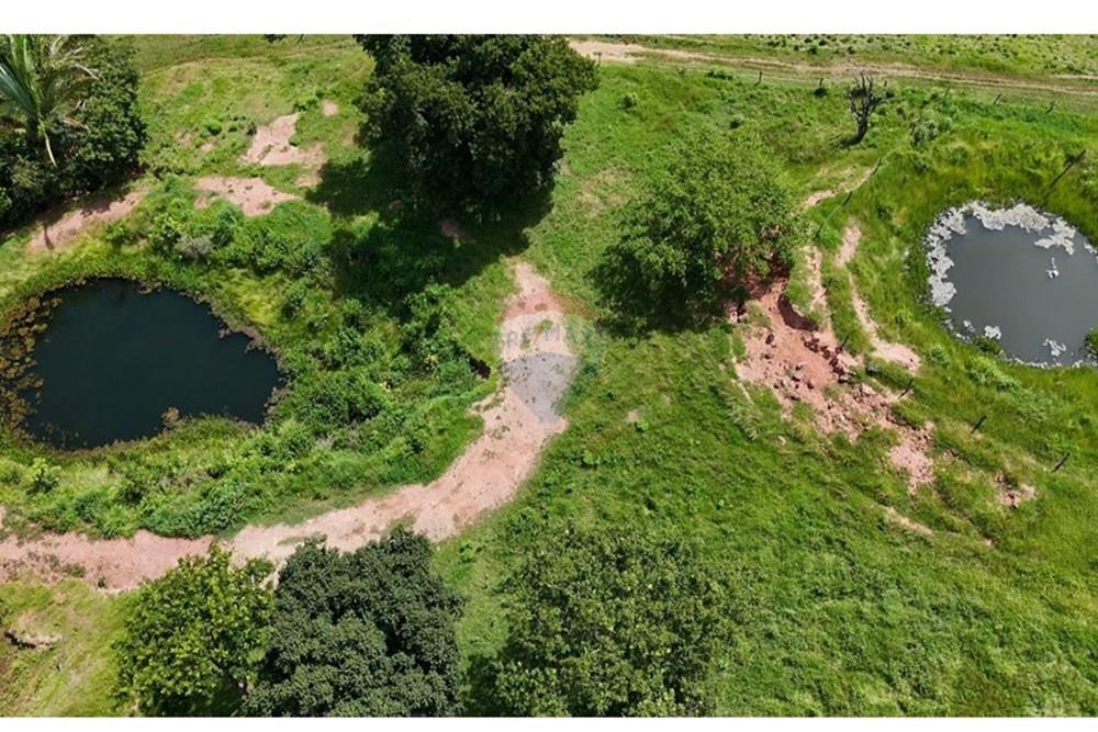 Chácara / Sítio / Fazenda - Venda - Juscimeira , Mato Grosso - WhatsApp Image 2026-02-03 at 16.05.23.jpeg - 722201031-2