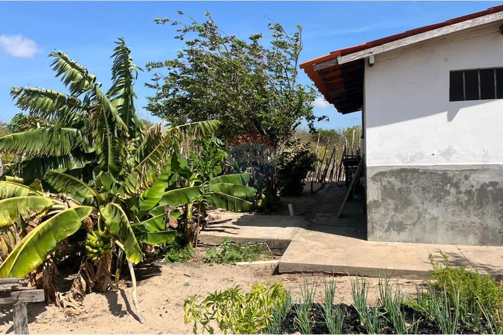 Casa - Venda - Parnaíba , Piauí - WhatsApp Image 2025-12-11 at 10.44.29.jpeg - 722361007-11