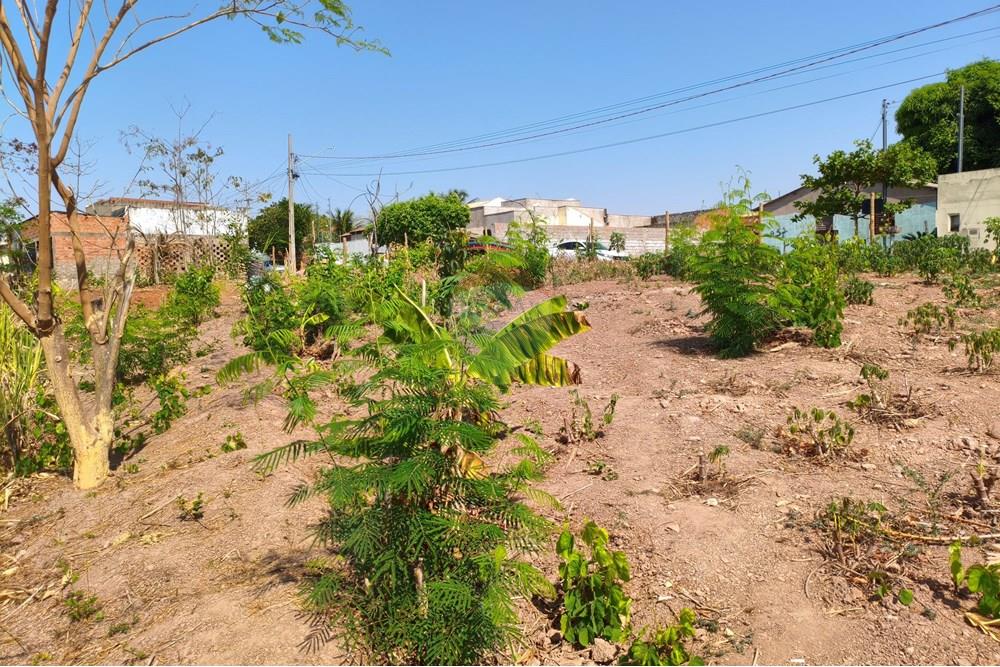 Terreno - Venda - Rondonópolis , Mato Grosso - IMG_20250912_092131.jpg - 722261012-17