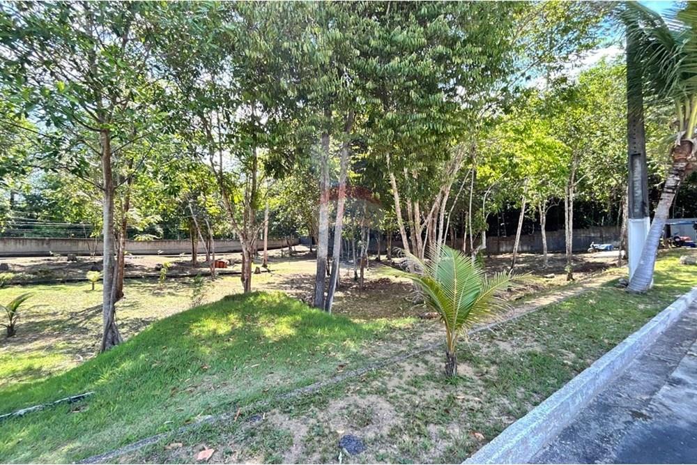 Terreno - Venda - Manaus , Amazonas - Imagem do WhatsApp de 2025-09-15 à(s) 14.51.47_8a752d28.jpg - 720401097-8