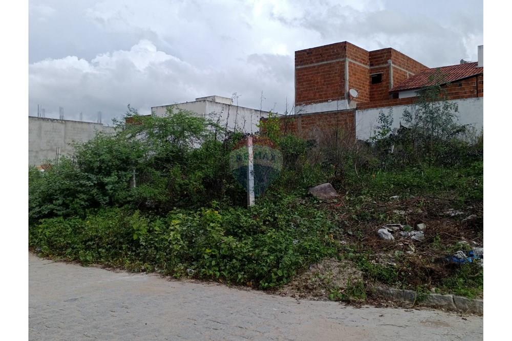 Terreno - Venda - Queimadas , Paraíba - IMG_20260227_153443_562.jpg.jpeg - 720291095-18